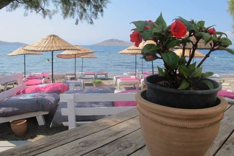 Dalga Beach Ortakent Bodrum Zomato